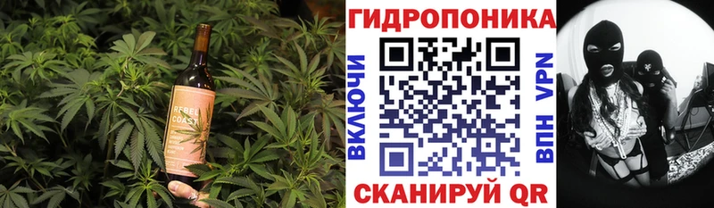 что такое   Шенкурск  Canna-Cookies конопля 