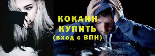 гашик Белокуриха