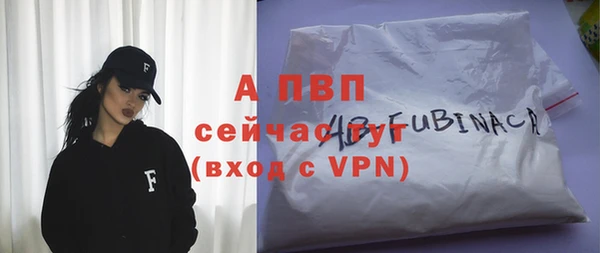гашик Белокуриха